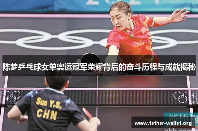 陈梦乒乓球女单奥运冠军荣耀背后的奋斗历程与成就揭秘