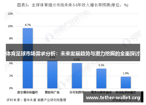 体育足球市场需求分析：未来发展趋势与潜力挖掘的全面探讨